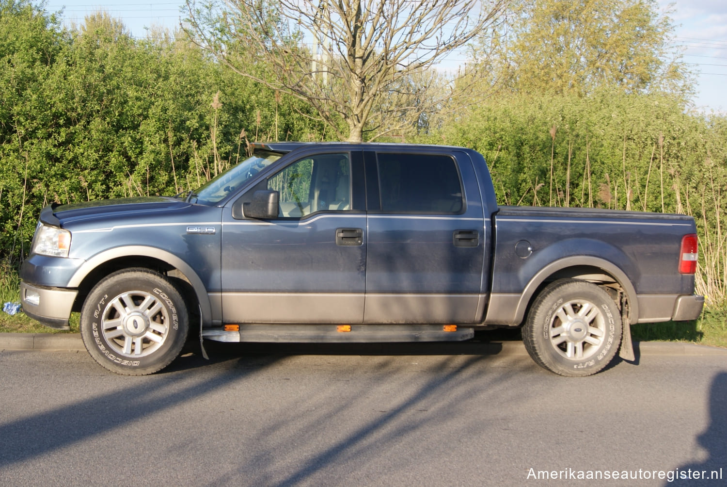 Ford F Series uit 2004